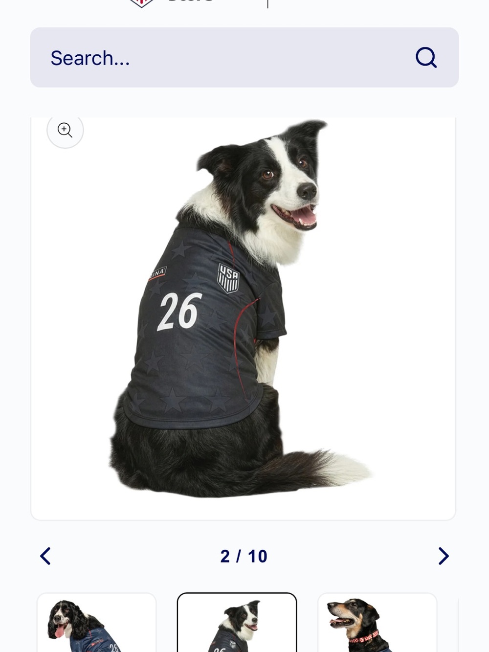 USA Soccer World Cup Pet Jersey - Picture 3 of 4